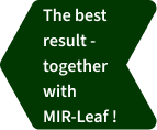 Green tag - The best result together with MIR-Лист